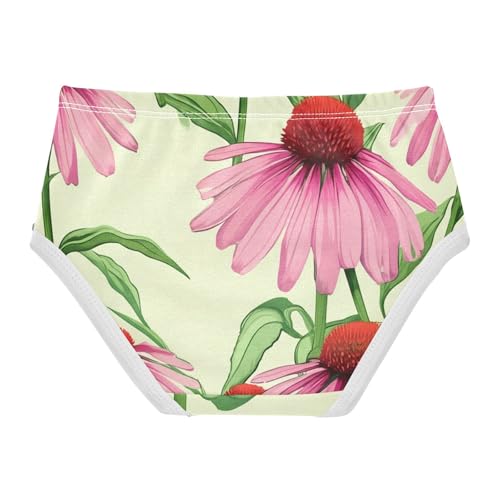 Pink Echinacea Flowers Green Leaves Panties Little Girl Toddler Underwear Floral Cotton Print Briefs Underpants 2t2