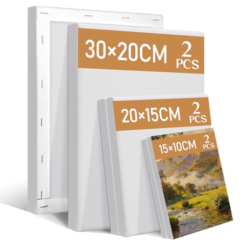 Lot de 6 Toiles Vierges Tendues pour Peinture, 30x20, 20x15, 15x10 cm, Châssis en Bois pour Toile, Toile à Peindre Blanche pour Acrylique et Aquarelle, Idéal pour...