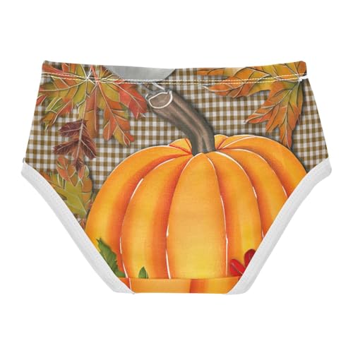 Orange Pumpkin Brown Checkered Plaid Toddler Girls Underwear 2t Cotton Panties for Girl Animals Briefs Kids Undies2