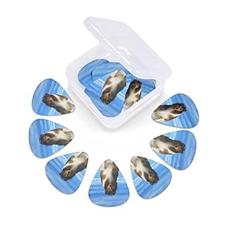 Ensemble de 12 médiators de guitare pour chien Shetland mignon pour guitare acoustique, guitare électrique, contrebasse… - Les Beatles, Paul McCartney, John Lennon, RIngo Starr, George Harrison Ensemble de 12 médiators de guitare pour chien Shetland mignon pour guitare acoustique, guitare électrique, contrebasse… – Image 6