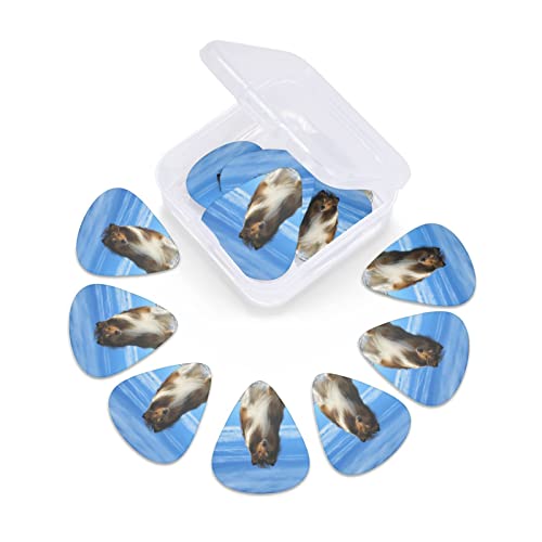 Ensemble de 12 médiators de guitare pour chien Shetland mignon pour guitare acoustique, guitare électrique, contrebasse… - Les Beatles, Paul McCartney, John Lennon, RIngo Starr, George Harrison Ensemble de 12 médiators de guitare pour chien Shetland mignon pour guitare acoustique, guitare électrique, contrebasse… – Image 7