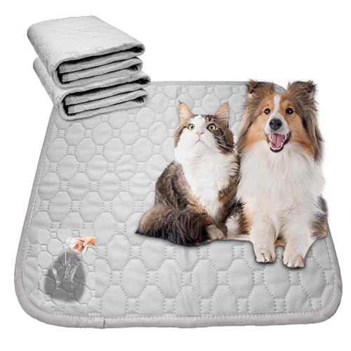 EMME 􂦂 ybgV[c ybg}bg }bg L  pbh gCV[g h ~ Rh~  z ~ ybgp p 2_Zbg Vo[O[L