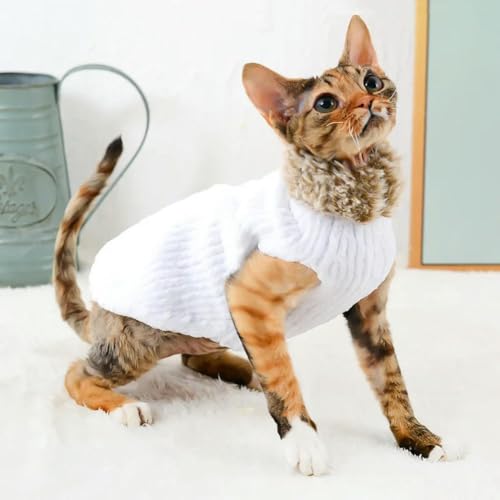 Ropa para gatos Sphynx frissin abrigo de lana de cordero cálido de invierno 4
