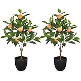 2Ft Artificial Peach Trees, 2 Packs Large Artificial Plants Indoor with Black Pots Faux Potted Trees Fake Floor Plants Peach Decorations for Home Living Room Office, Bedroom Table, Desk
