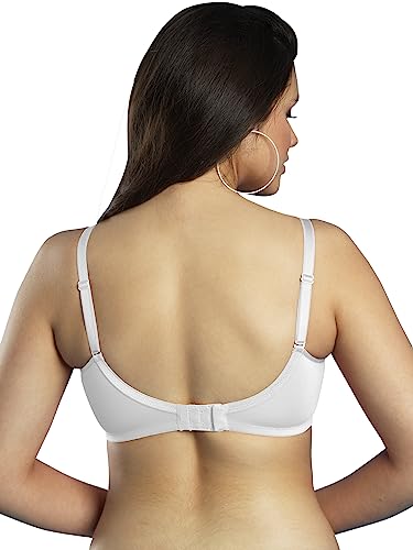 Image of Dazzle DB582 Women's Lightly Padded Super Soft Bra