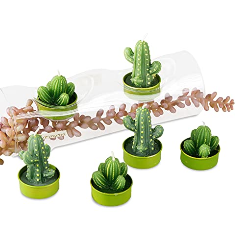 formano Lot de 6 bougies chauffe-plat décoratives Motif cactus Vert