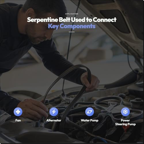 Image of 6PK2135 Serpentine Belt with Honda Accord, Odyssey, Pilot, Ridgeline