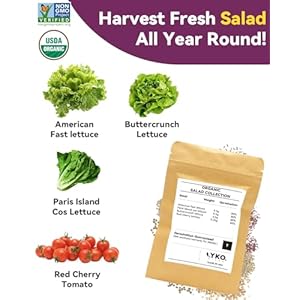 Saladseedpodkitsforaerogardenidoohydroponicsgrowingsystemherbgarden400seedsincludingamericanfastlettucebuttercrunchlettuceredcherrytomato8pods Urban Country Home Decor Salad seed pod kits for aerogarden idoo hydroponics growing system herb garden 400 seeds including american fast lettuce buttercrunch lettuce red cherry tomato8 pods urban country home decor