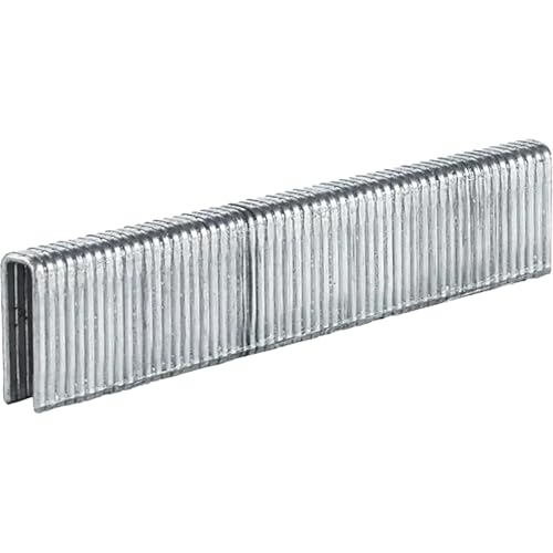 Einhell Agrafes 5x16 mm pour DTA 25/2, 3000 pièces