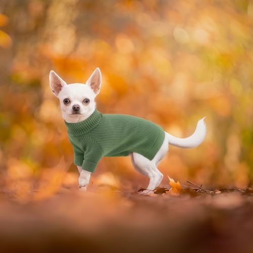 KONVINIT Hundepullover Kleine Hunde Winter Warmer Hund Pullover Weich Rollkragen Strickpullover für Welpen Hunde
