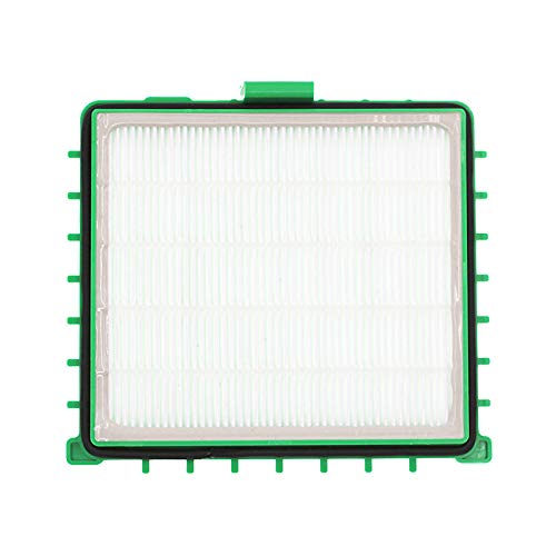 HEPA-Filter für Rowenta RO5911 DA Silence Force Extreme RO