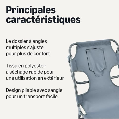 Chaise Longue Dossier Multi-Angles Multi-Positions Pliable Grise