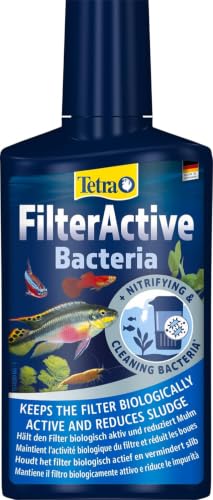 Tetra FilterActive Bacteria - Wasserpflegemittel, 250 ml Flasche | Lebende Starterbakterien & schlammreduzierende Reinigungsbakterien | hält den Filter biologisch aktiv | reduziert Mulm