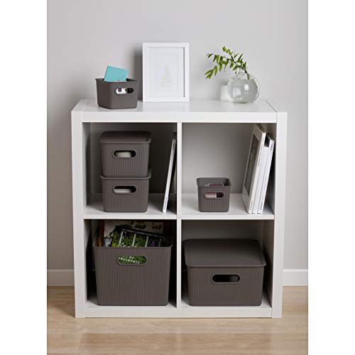 TATAY Plastic Storage Basket 1.5 L Baobab | Organizer Box | Integrated Handles | Compact and Versatile Design | BPA-Free Plastic | 3.5 x 4.5 x 6.5 cm, Grey - Cosy Home Interiors TATAY Plastic Storage Basket 1.5 L Baobab | Organizer Box | Integrated Handles | Compact and Versatile Design | BPA-Free Plastic | 3.5 x 4.5 x 6.5 cm, Grey - Image 3