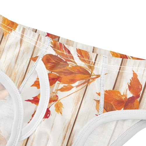 KLL Autumn Leaf on Old White Wooden Toddler Boys' Comfort Athletic Underwear Cute Children Panties4