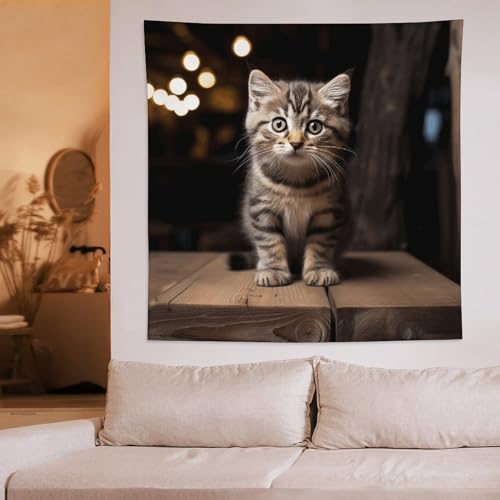 Couverture murale amusante chat impression haute définition