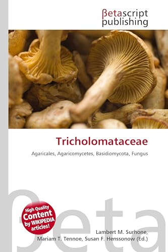 Tricholomataceae: Agaricales, Agaricomycetes, Basidiomycota, Fungus