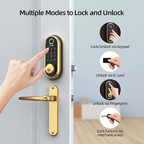 Hornbill HBUS-ZNS-Y001-GLD-KIT Smart Lock Deadbolt, Hornbill Fingerprint Door Lock thumb #1
