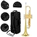 Aurosus bb trumpet 6331 brass b flat trumpet for beginners and intermediate players copper leadpipe gold lacquer finish stainless steel valves phosphorus hard case and accessories included