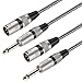 XLR Male to 1/4 Inch TS Cables 3 FT/2Pack, Nylong Braided XLR 3 Pin Male to Quarter inch 6.35mm TS Male Unbalanced Interconnect Wire Mic Cord (Pure Copper Conductors)