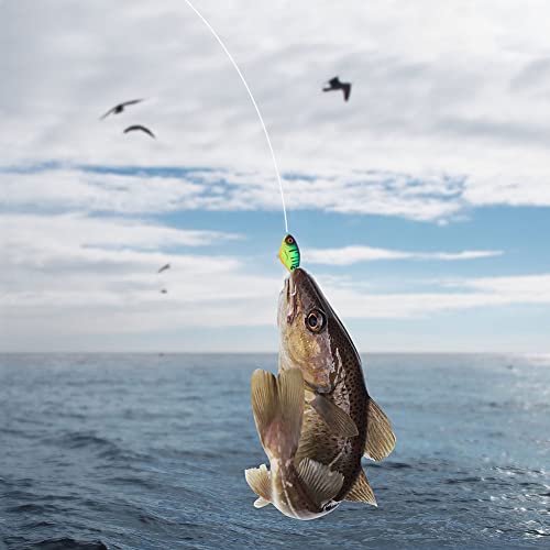 Aneew 6X Topwater Popper 75Mm Bluegill Bass Fishing Lures Kit Trout Hard Baits Spinnerbaits Swimbaits Crankbaits Rotating Tail Floating Surface Pike Musky Perch #TOP4