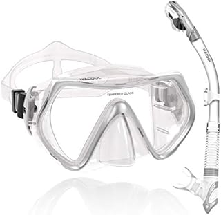 WACOOL Professional Adults Teens Kids Snorkeling Snorkel Diving Scuba Package Set with Anti-Fog Coated Glass Purge Valve and Anti-Splash Silicon Mouth Piece for Men Women (Adults,Silver)
