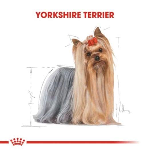 Royal Canin - Breed Health Nutrition Yorkshire Terrier Adult, 12x85g