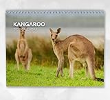 Boyce Publishing Ltd