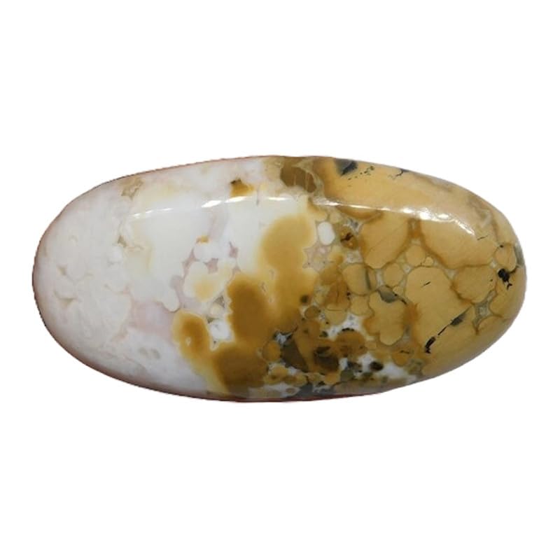 Jaspe cobra naturel 53x26mm : cabochon ovale pour création de bijoux DIY