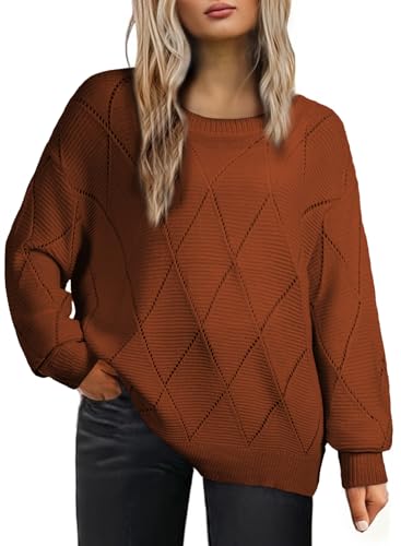 Eytino Plus Size Sweaters for Women Casual Crewneck Long Sleeve Crochet Knit Lightweight Pullover Jumper Tops(1X-5X)