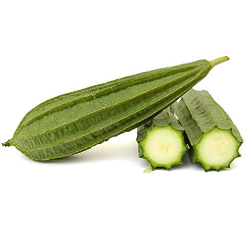 Leafy Tales Ridge Gourd Seeds for Kitchen Gardening, 25 seeds, RidgeGourd