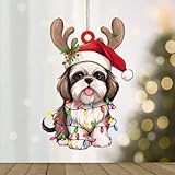 Matériau : cette décoration de Noël est fabriquée en acrylique 2D de haute qualité. Impression recto verso. L'impression UV rend le motif plus coloré.