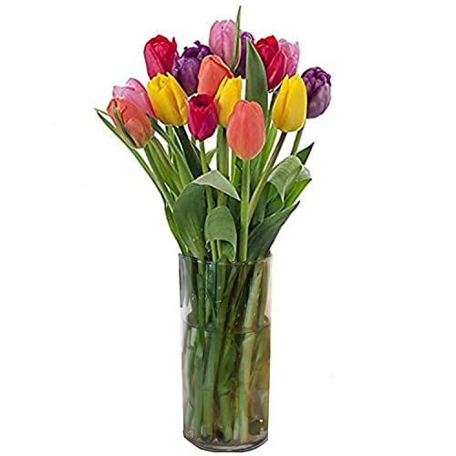 Stargazer Barn - Happy Love Bouquet - 15 Stems of Bright And Vibrant Tulips With Vase - Fresh From Farm