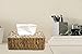 Vintiquewise Water Hyacinth Wicker Tissue Box Cover (Rectangle)