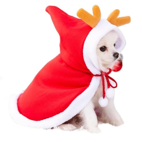 AttRex  ybg NX}X RX`[ L̕ ̕ hbOEFA }g giJC̃t[ht ^ h ۉ H~ 񑫕s  ybgpi (S,bh)