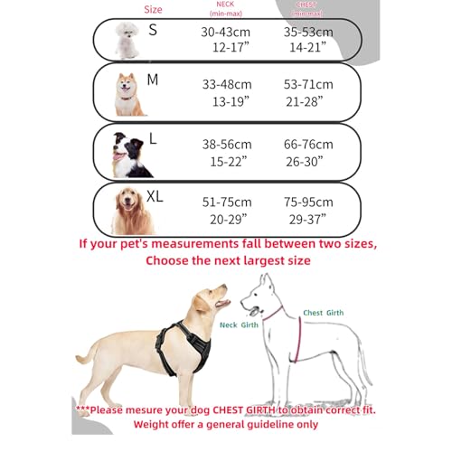 Fellste𝐫 Geschirr, Anti-Zieh Hundegeschirr mit Step-in Design, Atmungsaktiv & Gepolstert, Für entspanntes Spazierengehen, Kontrolle ohne Ziehen, Für Hunde jeder Größe (Schwarz, S)