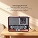 Vintage Radio Multifunctional AM FM SW Band Clock Flashlight RetroSpeaker with LED Flashlight, Clock Function, Vintage Appearance for Home Travel Office