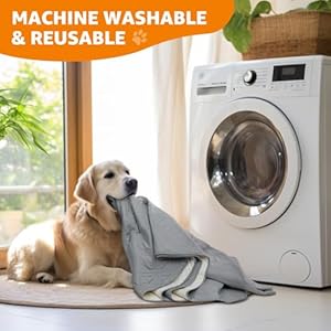 LOOBANI-Waterproof-Dog-Blanket-Anti-Slip-Bed-Couch-Covers-for-Dogs-2-Pack-Soft-Pet-Blankets-to-Protect-Furniture-Sofa-Car-for-Puppy-Cat-Kids-5482-Light-Grey - Cucciolini Doodles   LOOBANI-Waterproof-Dog-Blanket-Anti-Slip-Bed-Couch-Covers-for-Dogs-2-Pack-Soft-Pet-Blankets-to-Protect-Furniture-Sofa-Car-for-Puppy-Cat-Kids-5482-Light-Grey