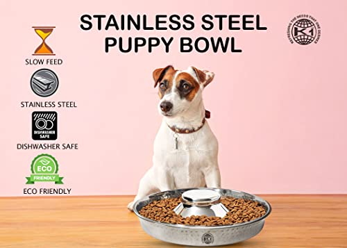 King International Stainless Steel 1 Hammered Slow Feeder Dog Bowl, Puppy Bowl,Puppy Food Bowl,Dog Bowl For Small Dogs,11.4'',Puppy Saucer,Puppy Supplies,Puppy Feeder,Puppy Feeding Bowls For Litters #TOP4