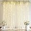 Amazon.com: Shillance 10ft x 10ft Champagne Backdrop Curtain with ...