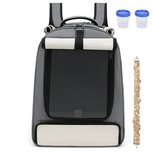 XVVX  obO p obO bN  P[W   CR o[hړp Oo֗ t y gȒP | h ʋC  ([[uCh - x[W,Ԟ̃X^hXeBbNt܂)