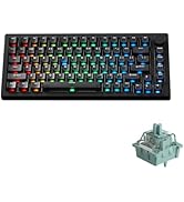キーボード MONSGEEK FUN60 Pro black wired Monsgeek FUN60 Pro Hall Effect Magnetic Keyboard | Monsgeek EU