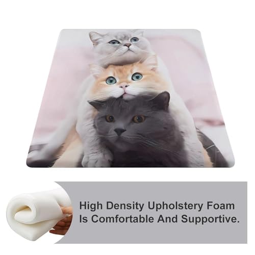 Cojín viscoelástico de gatos 38x35 cm con funda extraíble para comedor 4