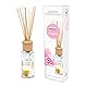 pajoma Raumduft Light Moments, 1er Pack (1 x 100 ml)