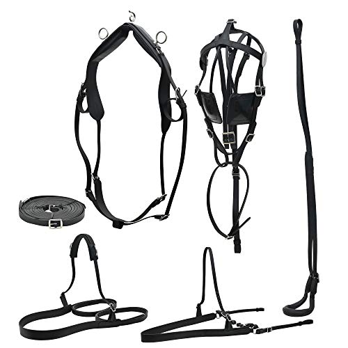 SIE EQUESTRIAN Leather Harness Set (Cob)
