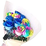 BisesFlower(ビズフラワー)【クール便出荷】バラ 花束 10本 ブルー レインボー 各5本 プロポーズ サプライズ 花 ローズ 薔薇 ブーケ ウェディング プレゼント 生花 記念日 結婚 誕生日 薔薇の花束 オランダ産