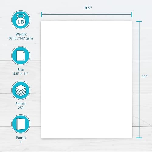 PrintWorks White Cardstock 8.5" x 11" - 67 lb/147 gsm Vellum Bristol - 250 Sheets - Made in the USA - SFI® Certified - 92 Bright - Card Stock Printer Paper for School, Craft, & Office Use (00564)