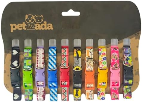 Coleira para pet cachorros filhotes de identificação cartela com ...