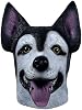 Máscara realista de husky de látex, máscara de animal para adultos y niños para Halloween, carnaval y fiestas temáticas de animales 2