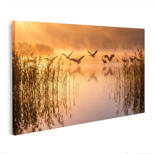 Impression sur toile d'un lever de soleil pour décoration murale de salon nature J2